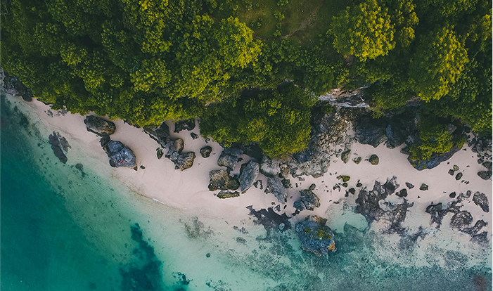 mansion88������(�й���)�ٷ���վ