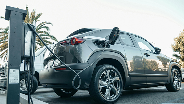 mansion88������(�й���)�ٷ���վ