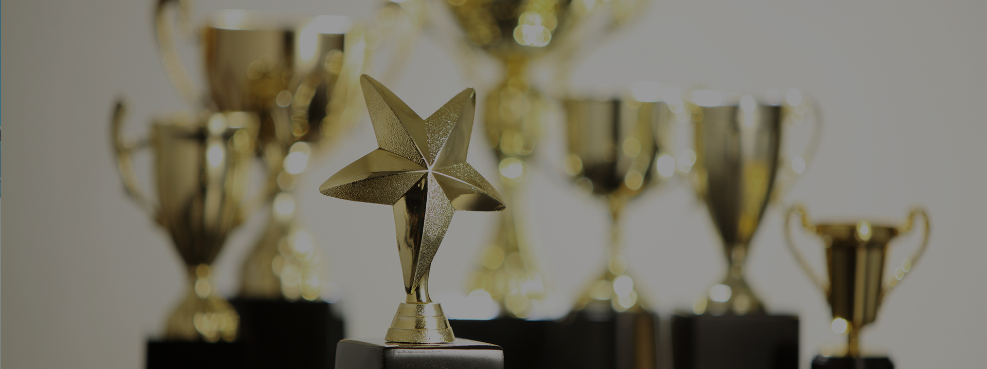 mansion88������(�й���)�ٷ���վ