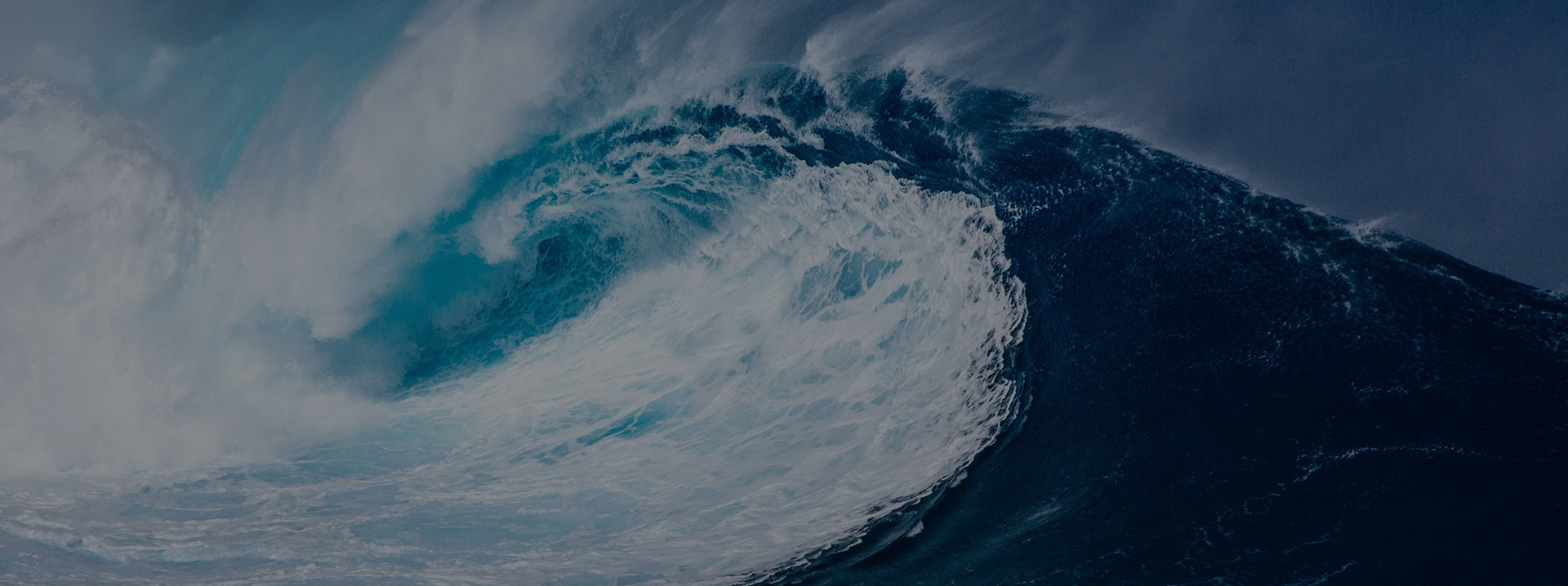 mansion88������(�й���)�ٷ���վ