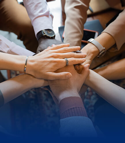 mansion88������(�й���)�ٷ���վ