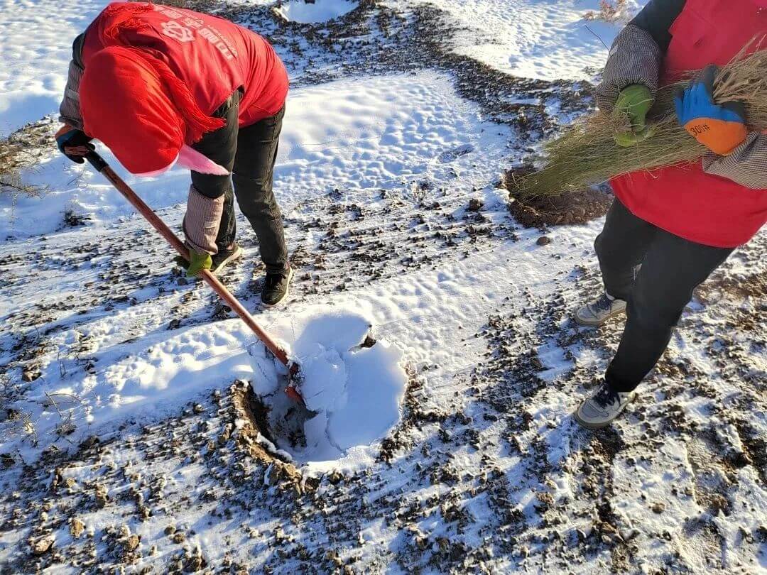 mansion88������(�й���)�ٷ���վ