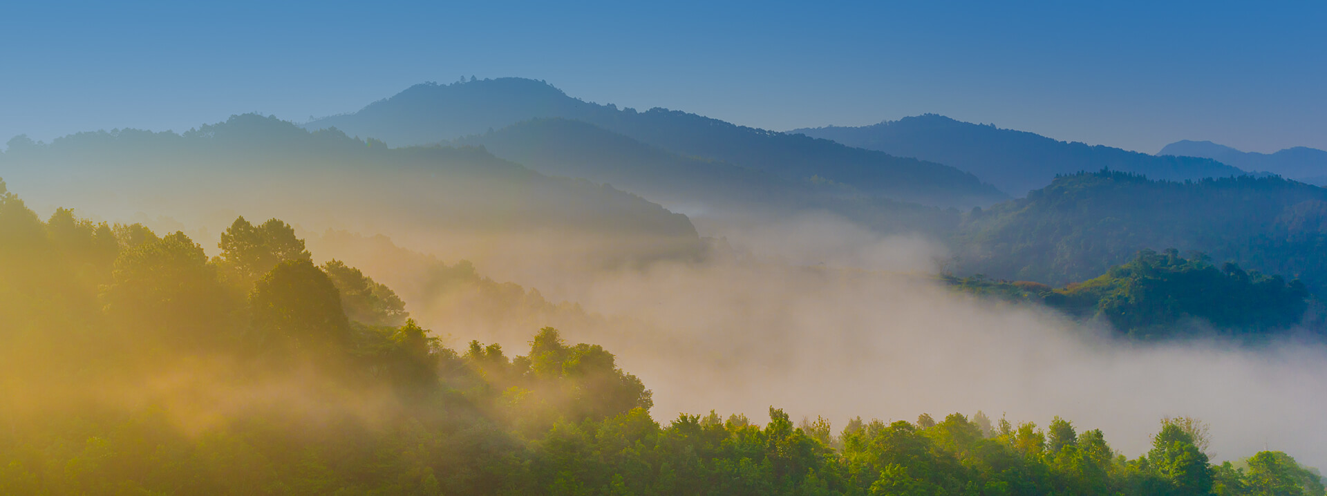 mansion88������(�й���)�ٷ���վ