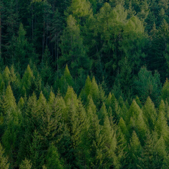 mansion88������(�й���)�ٷ���վ