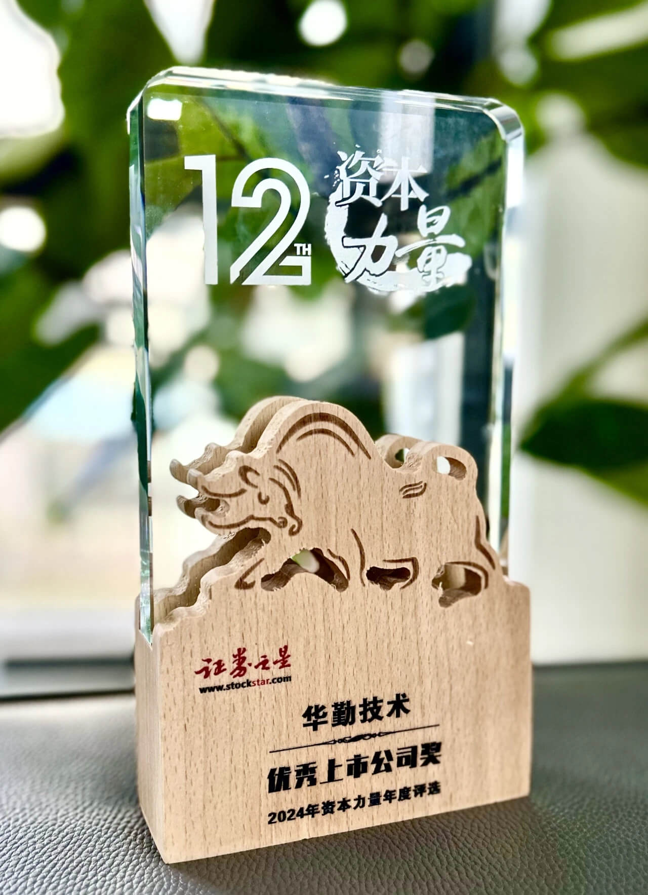 mansion88������������֤ȯ֮��2024���������й�˾��